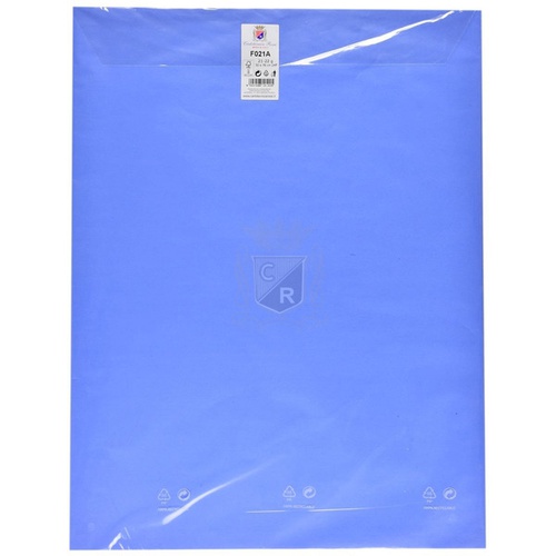CARTA VELINA 21gr. 50x76cm. BS x24F F021A AZZURRO PERVINCA