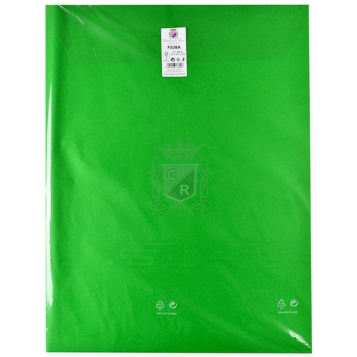 CARTA VELINA 21gr. 50x76cm. BS x24F F038A VERDE BANDIERA